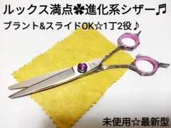 切れ味抜群カットシザー美容師プロ用ハサミスライドu0026ブラントOK両方使える1丁2役