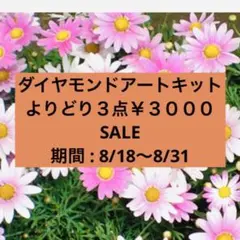 ≪ 8月18日〜8月31日ダイヤモンドアートキットよりどり３点¥3000≫