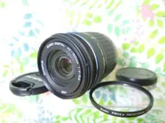 Item thumbnail for item 263b096d-440b-437c-a24e-339b13393121