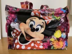 イマジニングザマジック ミニー カメラバッグ