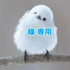 Item thumbnail for item fb9b3585-e70c-4d50-9dac-bdd85b0e6111