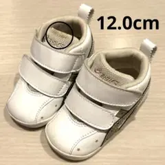 Item thumbnail for item 24e54a7c-312b-4fc4-9e1d-48164e4ab324