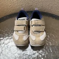 Item thumbnail for item f3b14794-a439-4423-ba09-0987bf490ae6