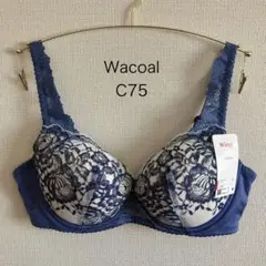 Item thumbnail for item 2e7de39c-1320-4237-b7d4-8c7591393501