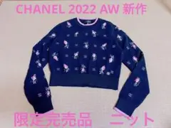 CHANEL シャネル プレタポルテ ニット 長袖 2022 秋冬 新作 完売品