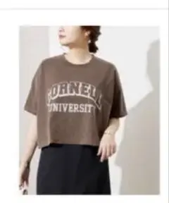 カレッジロゴ　ショート　Tシャツ