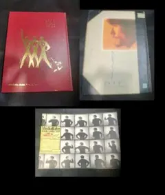 坂本龍一 ツアーパンフレット94/D&L 95　YMO パンフレット】ryuichi sakamoto sweet revenge tour 199
