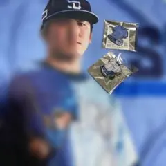 ライオンズフェスティバル タオル　ピンバッチ　隅田知一郎