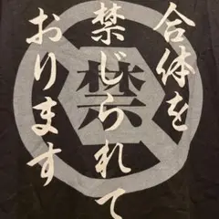 【レア希少❗️】EVOL 創勢のアクエリオン×Tシャツ