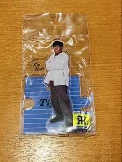阪神タイガース★植田海選手 アクスタ