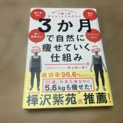 3か月で自然に痩せていく仕組み : 意志力ゼロで体が変わる!3勤1休ダイエット…