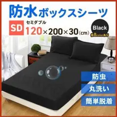 Item thumbnail for item 4c85e449-5822-4176-bacd-671b93dc1911