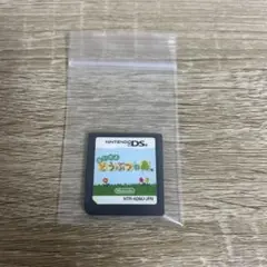 おいでよ どうぶつの森 DS ソフト