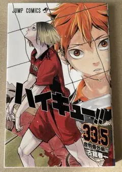劇場版ハイキュー‼︎ ゴミ捨て場の決戦 33.5巻