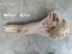 Item thumbnail for item 464ed8eb-ece4-4155-b7c8-f514a543550e
