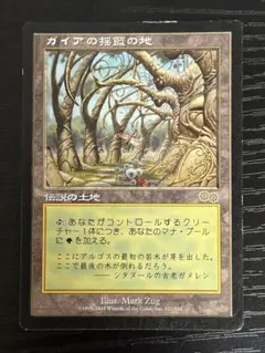 Gaea's Cradle 伝説の土地 Gaea's Cradle / ガイアの揺籃の地 展示中 in Museum of