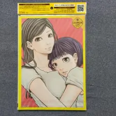 ハコヅメ　ジョージア朝ドラ部ヒーローズＢ5ノート