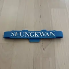 2025年最新】seventeen ペンライトアクセサリー スングァンの