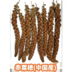 赤粟穂(中国産)300g