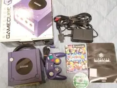 Nintendo GameCube ゲームキューブ ソフト2本 箱 説明書