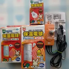 Item thumbnail for item 1022f959-93bf-4c24-9089-55c2292fb9c7