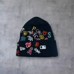 NEW ERA メジャーリーグ 全30球団 刺繍ロゴ ニットキャップ ニューエラ