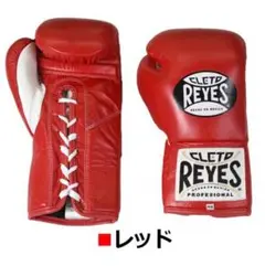 レイジェス(reyes) 競技用公式 グローブ