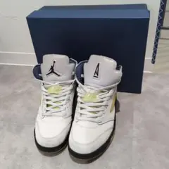 AIR JORDAN 5 アママニエール　AMaManiere