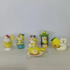 コンコンブル　ふぞろいなレモンたち６点セット
