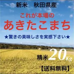 農家直送‼️令和4年度★新米★秋田県産 これが本場のあきたこまち精米10Kg×2