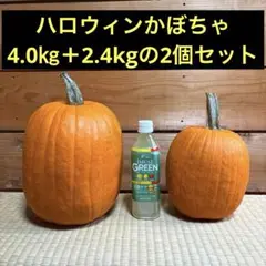 Item thumbnail for item 2b2bb500-59c2-4cee-8de4-127d40a7f9cb