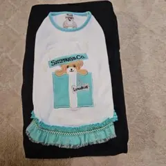 Item thumbnail for item 72b00588-f78f-44d4-bbd4-00a37e9289a6
