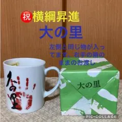 【横綱・大の里関】マグカップ （箱入り）１個のみ