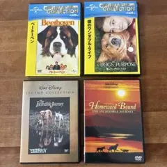 DVD ベートーベン　僕のワンダフルライフ　三匹荒野を行く￼ ￼￼奇跡の旅