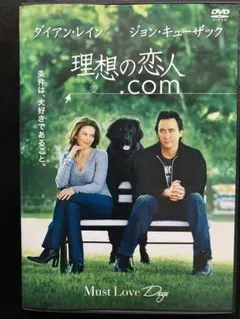理想の恋人.com('05米) ダイアンレイン