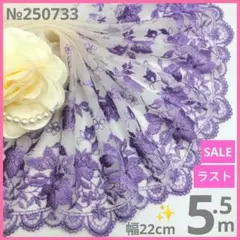 【SALE】【ラスト】№250733 チュールレース　5.5m