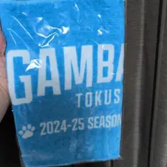 徳島ガンバロウズ 2024-25シーズン ファンクラブ限定タオル