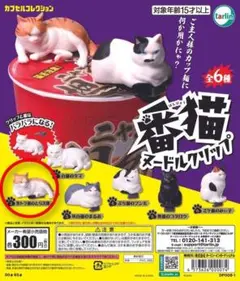 Item thumbnail for item a80ccb9d-5fb0-4834-a443-e7554fa59782