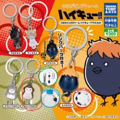 ハイキュー!! アクリルキーホルダーセット