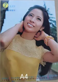 1970年代アイドル切抜　松原智恵子　ティーン向け週刊誌　切り抜き