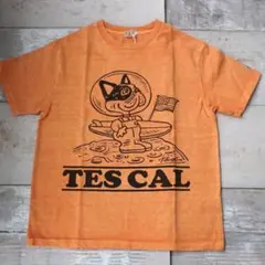 25最新作！TES VINTAGE GRAPHIC PIG Tee