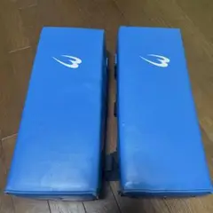 空手　ボディーメーカーのミット　２個セット　ブルー