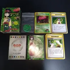 ポケモンジムシリーズNo.4 タマムシジム：エリカ
