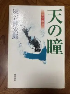天の瞳 少年編2 除籍