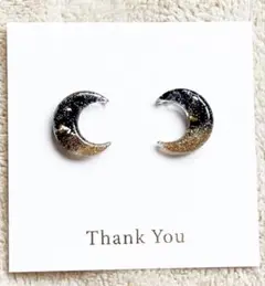 No.69 レジンピアス 樹脂/チタンピアス ハンドメイドアクセサリー