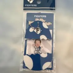 殻を破れ！たまご型キーホルダー2025⭐️ファイターズ⭐️ 矢澤宏太選手