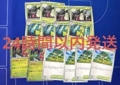 ポケカ メガニウム 進化ライン チコリータ ベイリーフ 活力の森 セット