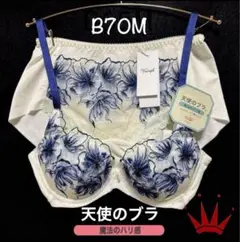 B70M トリンプ 天使のブラ 魔法のハリ感 マグノリア ブラ＆ショーツ Whi