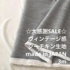 B2L/5763-01◆3m 感謝祭/綿系ヴィンテージ感シーチング生地/アパレル