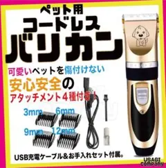 Item thumbnail for item 097406f1-54ae-46f9-87ed-7adb133993d4